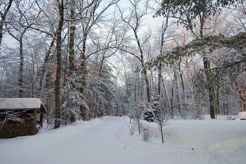 20071228_093439 D2X F.jpg - Winter landscape, Happy Tails, Bridgton, Maine